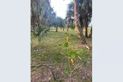 15148 NW 288th Street, Okeechobee, FL 34972 - Photo 31