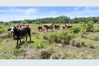 2777 Everhigh Acres Road Road, Clewiston, FL 33440 - Photo 13