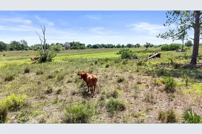 2777 Everhigh Acres Road Road, Clewiston, FL 33440 - Photo 15