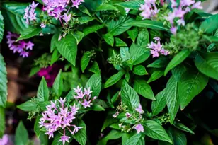 3301 SE 12th St, Pompano Beach, FL 33062 - Photo 35