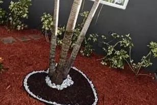 [Address not provided], Fort Lauderdale, FL 33312 - Photo 5