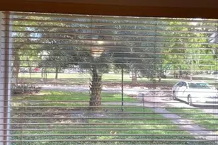 6625 Nervia St, Miami, FL 33146 - Photo 19