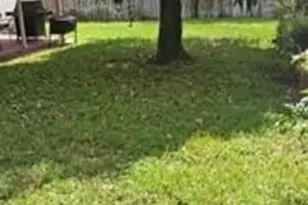 5620 Monroe St, Hollywood, FL 33023 - Photo 5