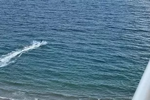 4020 Galt Ocean Dr, Fort Lauderdale, FL 33308 - Photo 9