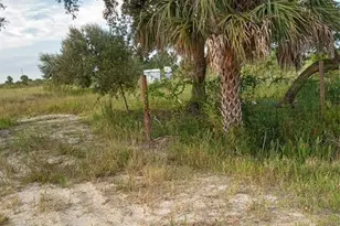 17925 NW 316th St, Okeechobee, FL 34972 - Photo 1