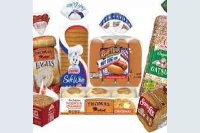 [Address not provided], Miami, FL 33134 - Photo 1