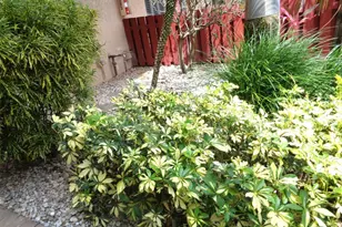 7320 Lake Cir Dr, Margate, FL 33063 - Photo 31