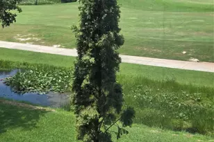 9491 Evergreen Pl, Davie, FL 33324 - Photo 61