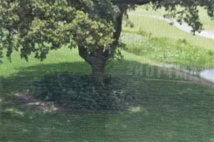 9491 Evergreen Pl, Davie, FL 33324 - Photo 61