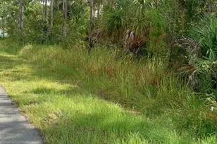 2655 SW Labin Ave, Palm Bay, FL 32908 - Photo 1