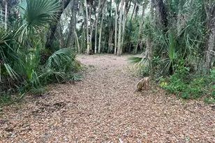 15148 NW 288th St, Okeechobee, FL 34972 - Photo 17