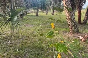 15148 NW 288th St, Okeechobee, FL 34972 - Photo 33