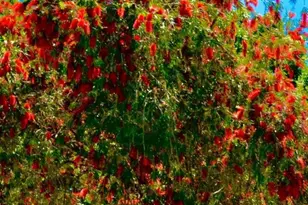 4319 Thousand Pines Dr, Fort Pierce, FL 34981 - Photo 35