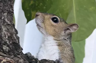 3776 Inverrary Blvd, Lauderhill, FL 33319 - Photo 7