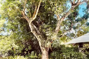 4827 NW 2nd Ct, Plantation, FL 33317 - Photo 13