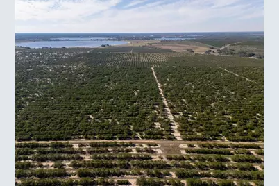 3073 Cr 627, Avon Park, FL 33825 - Photo 11