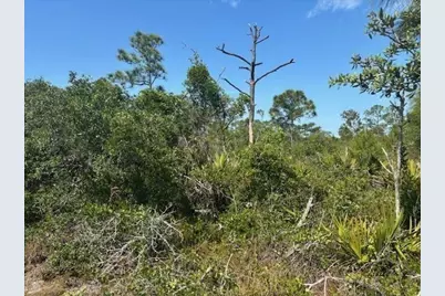 314 Falcon Street, Lake Placid, FL 33852 - Photo 3