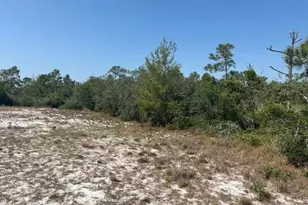 314 Falcon St, Lake Placid, FL 33852 - Photo 1