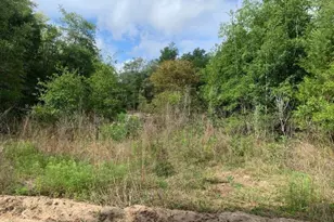 0 Douglas Dr, Interlachen, FL 32148 - Photo 1