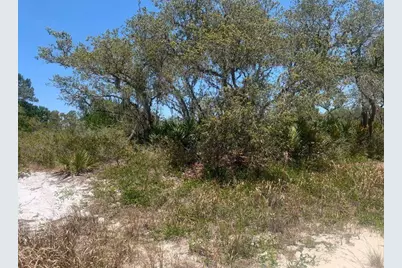 2924 W Quincy Road, Avon Park, FL 33825 - Photo 1
