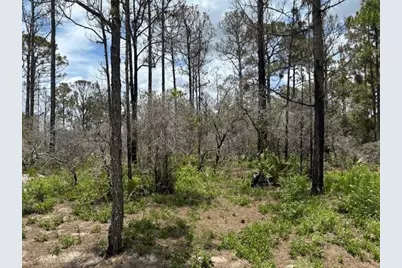 0 Claverton Drive, Lake Placid, FL 33852 - Photo 1