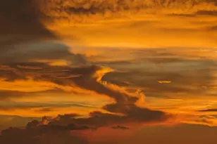 3100 NE 49th St, Fort Lauderdale, FL 33308 - Photo 37