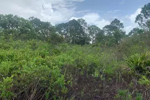 4105 Nogales Ave, Sebring, FL 33872 - Photo 1