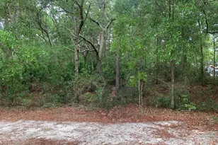 209 Highline Trail, Satsuma, FL 32189 - Photo 1