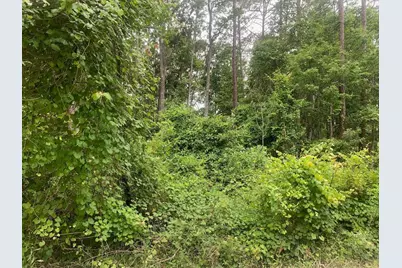 123 Coot Road, Satsuma, FL 32189 - Photo 1