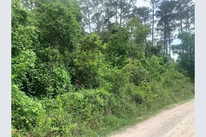 0 Coot Drive, Satsuma, FL 32189 - Photo 1