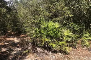 0 Oregon St, Interlachen, FL 32148 - Photo 1