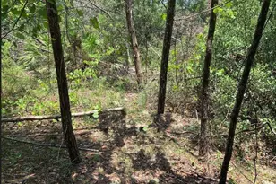 213 Kansas St, Satsuma, FL 32189 - Photo 1