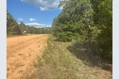 0 Nezperce Drive, Alford, FL 32420 - Photo 1