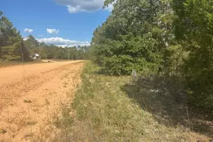 0 Nezperce Dr, Alford, FL 32420 - Photo 1