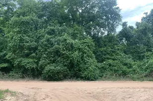 0 Ida Blvd, Interlachen, FL 32148 - Photo 1