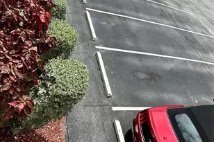 305 NE 16th St, Fort Lauderdale, FL 33304 - Photo 17