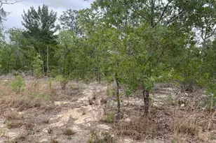 0 Gray St, Interlachen, FL 32148 - Photo 1