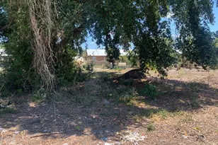 30 E Metcalfe St, Avon Park, FL 33825 - Photo 1