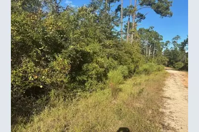 0 Mulberry Drive, Marianna, FL 32448 - Photo 1