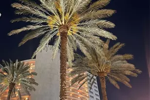 4100 Galt Ocean Dr, Fort Lauderdale, FL 33308 - Photo 63