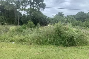 2730 N US Hwy 98, Okeechobee, FL 34972 - Photo 1