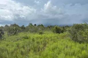 0 NW 316th St, Okeechobee, FL 34972 - Photo 1