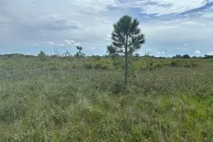 0 NW 308th St, Okeechobee, FL 34972 - Photo 1