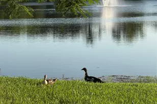 9237 NW 9th Pl, Plantation, FL 33324 - Photo 35