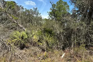 0 Jackson St, Lake Wales, FL 33898 - Photo 1