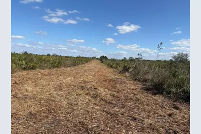 0 NW 316th Street, Okeechobee, FL 34972 - Photo 3