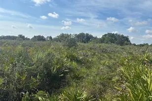 0 NW 310th St, Okeechobee, FL 34972 - Photo 1