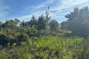 0 NW 304th St, Okeechobee, FL 34972 - Photo 1