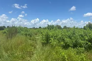 0 NW 318th St, Okeechobee, FL 34972 - Photo 1