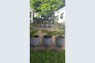 1933 Dewey Street, Hollywood, FL 33020 - Photo 3